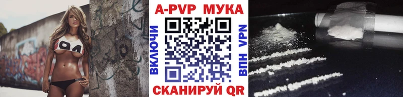 купить   ОМГ ОМГ зеркало  А ПВП СК  Кашин 