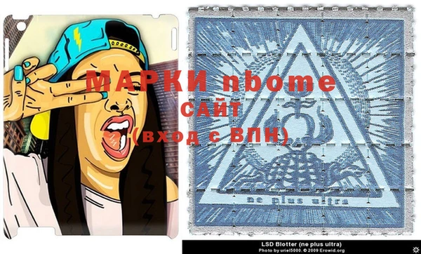 крисы Сатка