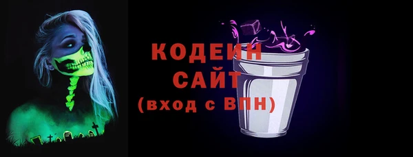 крисы Сатка