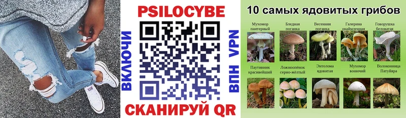 дарнет шоп  Кашин  Псилоцибиновые грибы GOLDEN TEACHER 